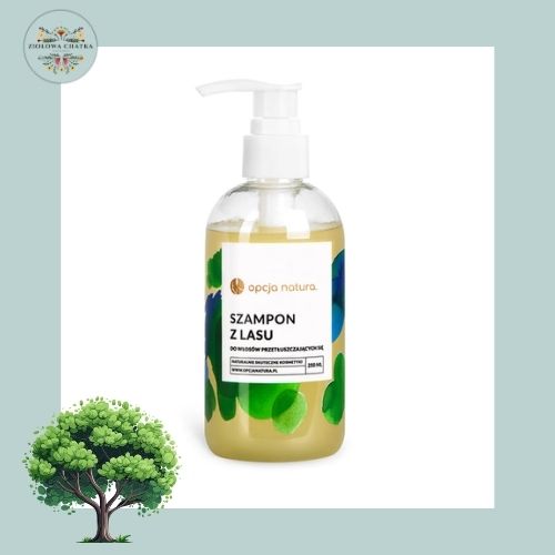 Szampon z lasu - 250ml
