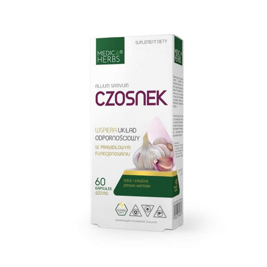 Czosnek