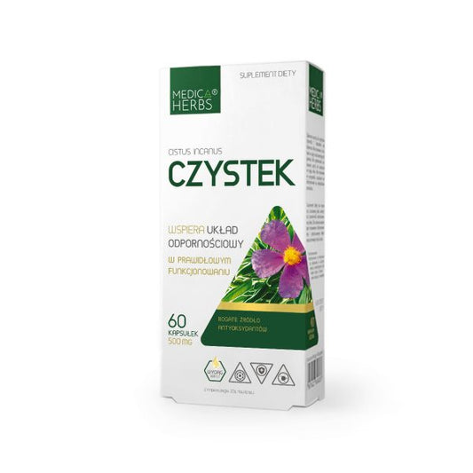 Czystek