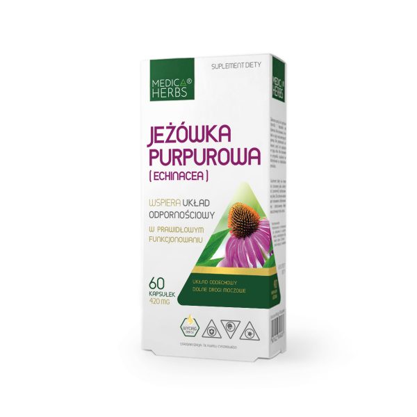 Jeżówka Purpurowa (Echinacea)