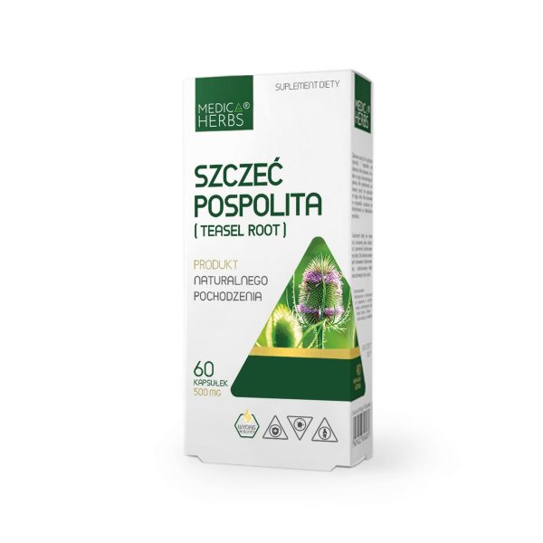 Szczeć Pospolita (Teasel Root)