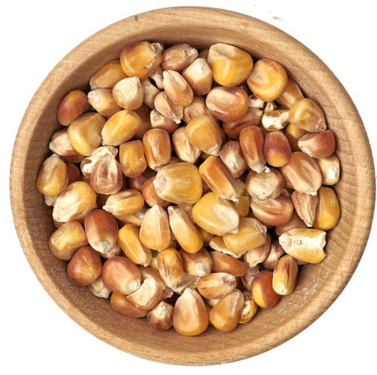 Kukurydza popcorn 500g